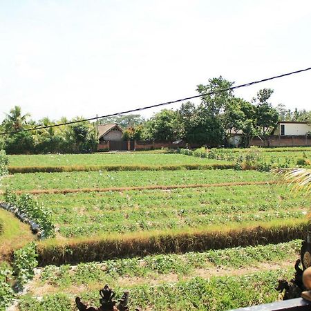 Hotel Ancut Sari Ubud Exteriér fotografie