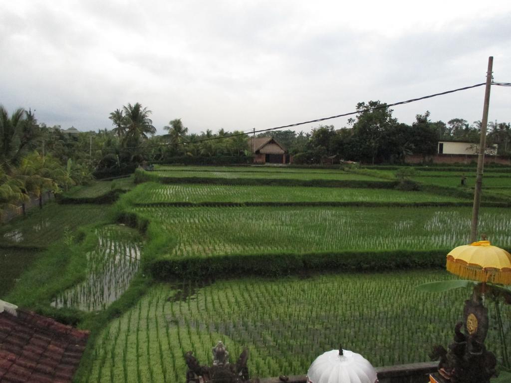 Hotel Ancut Sari Ubud Exteriér fotografie